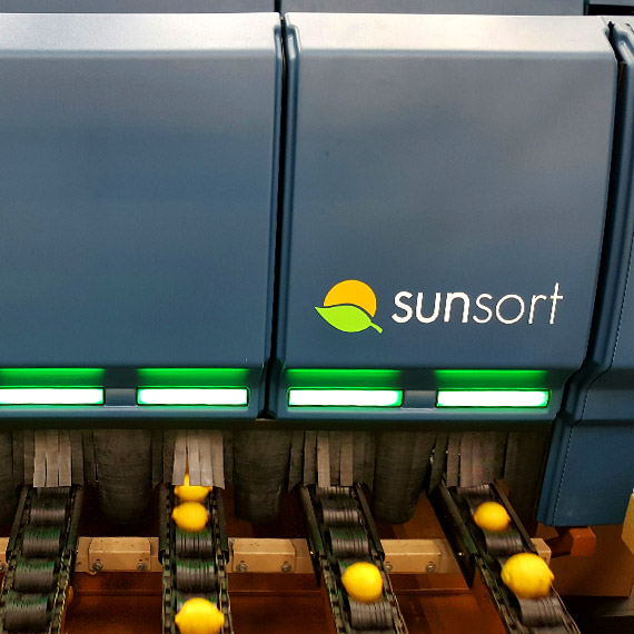 Thermoformed Sunkist® SunSort Optical Citrus Sorter View #2